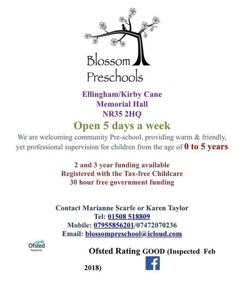 Blossom preschools